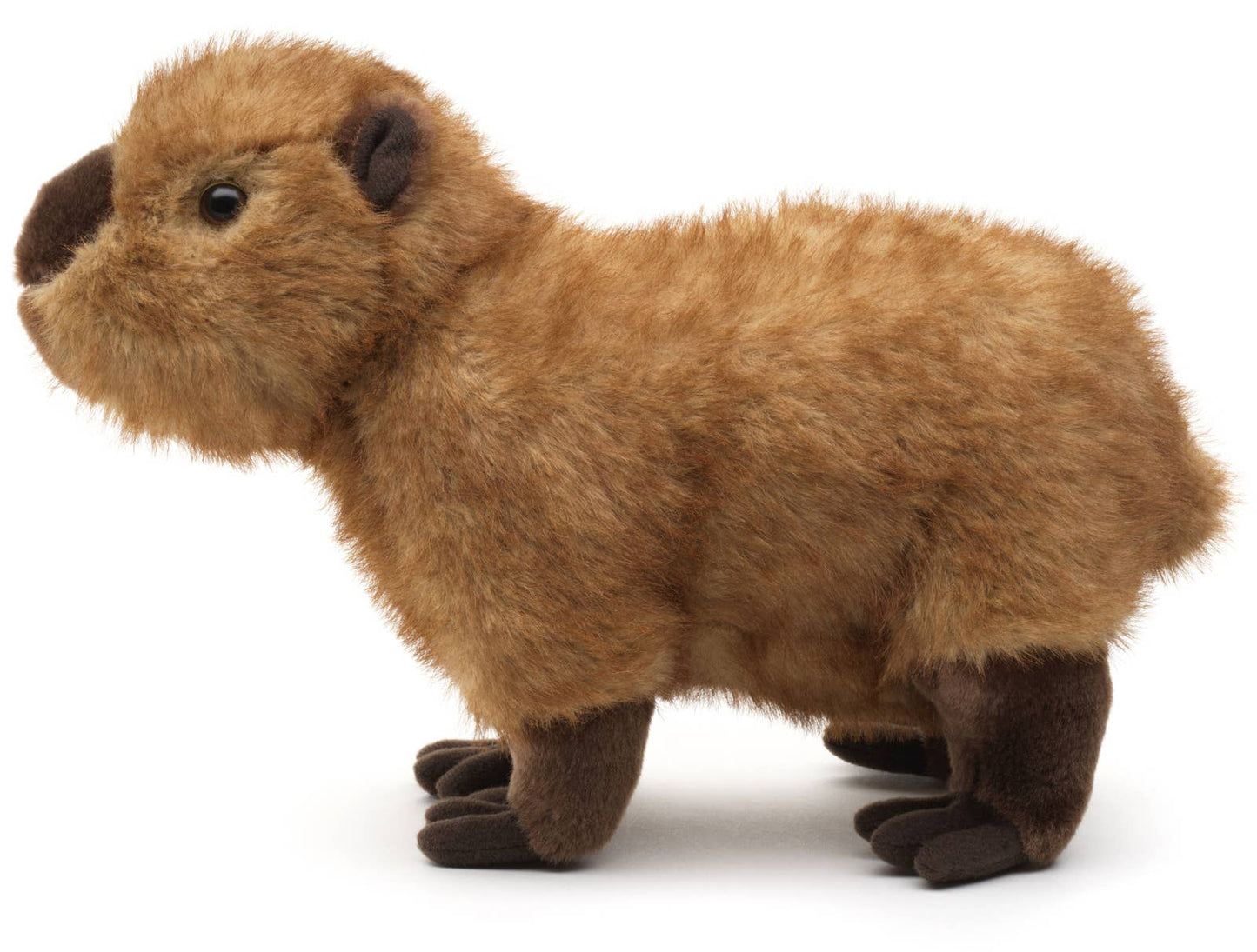Capybara - 27 cm (length) - Cuddle/Plush toy