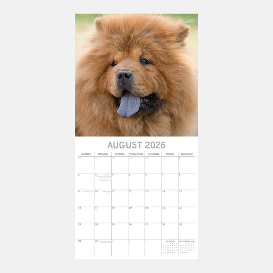 Calendário de parede quadrado 2026 - Chow Chow