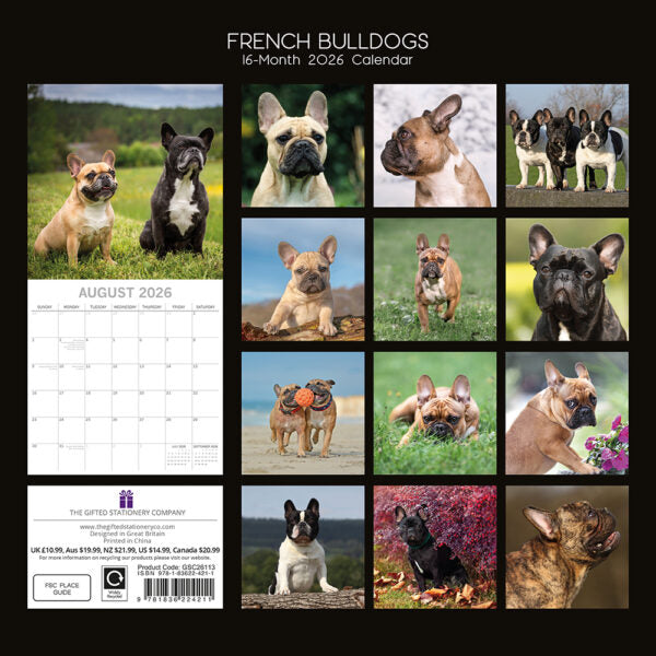 2026 Square Wall Calendar - French Bulldogs