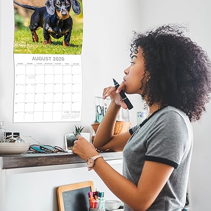 Calendário de parede quadrado 2026 - Pugs