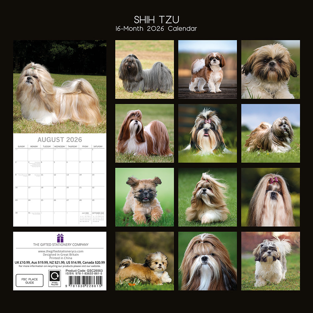2026 Square Wall Calendar - Shih Tzu