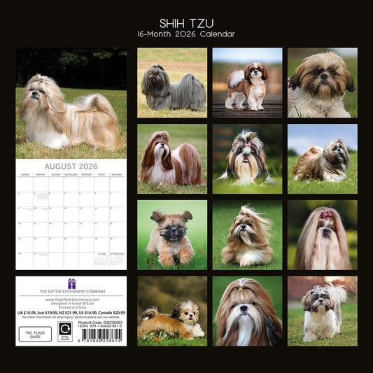 Calendário de parede quadrado 2026 - Shih Tzu