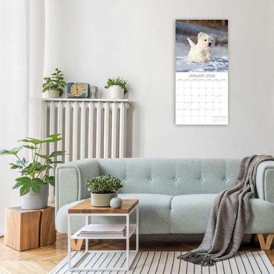 Calendário de parede quadrado 2026 - West Highland White Terriers
