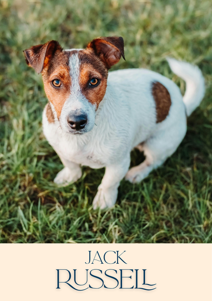 Notepad - For Pet Lovers - Dogs