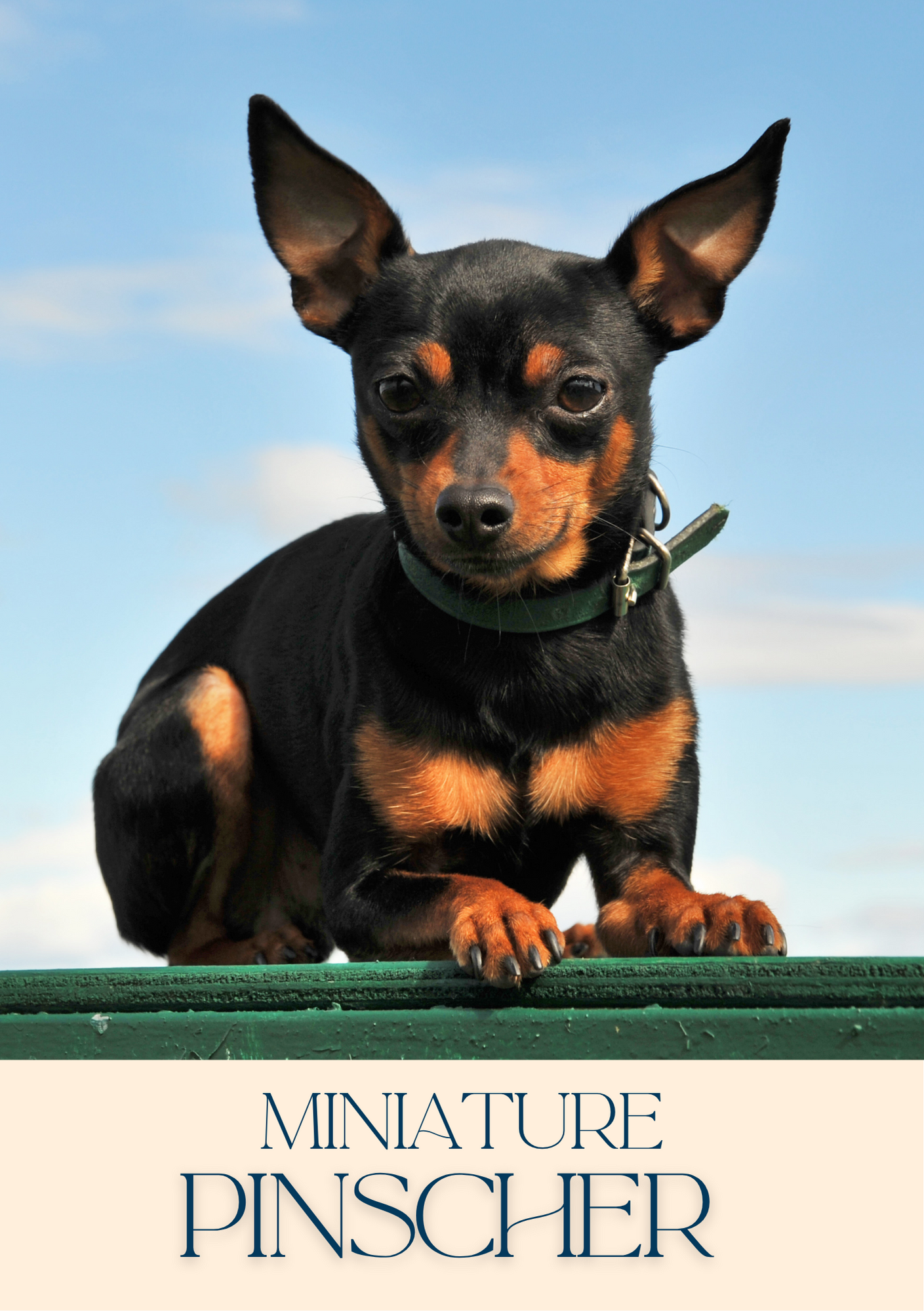 Notepad - For Pet Lovers - Dogs