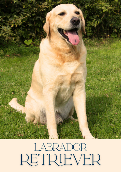 Notepad - For Pet Lovers - Dogs