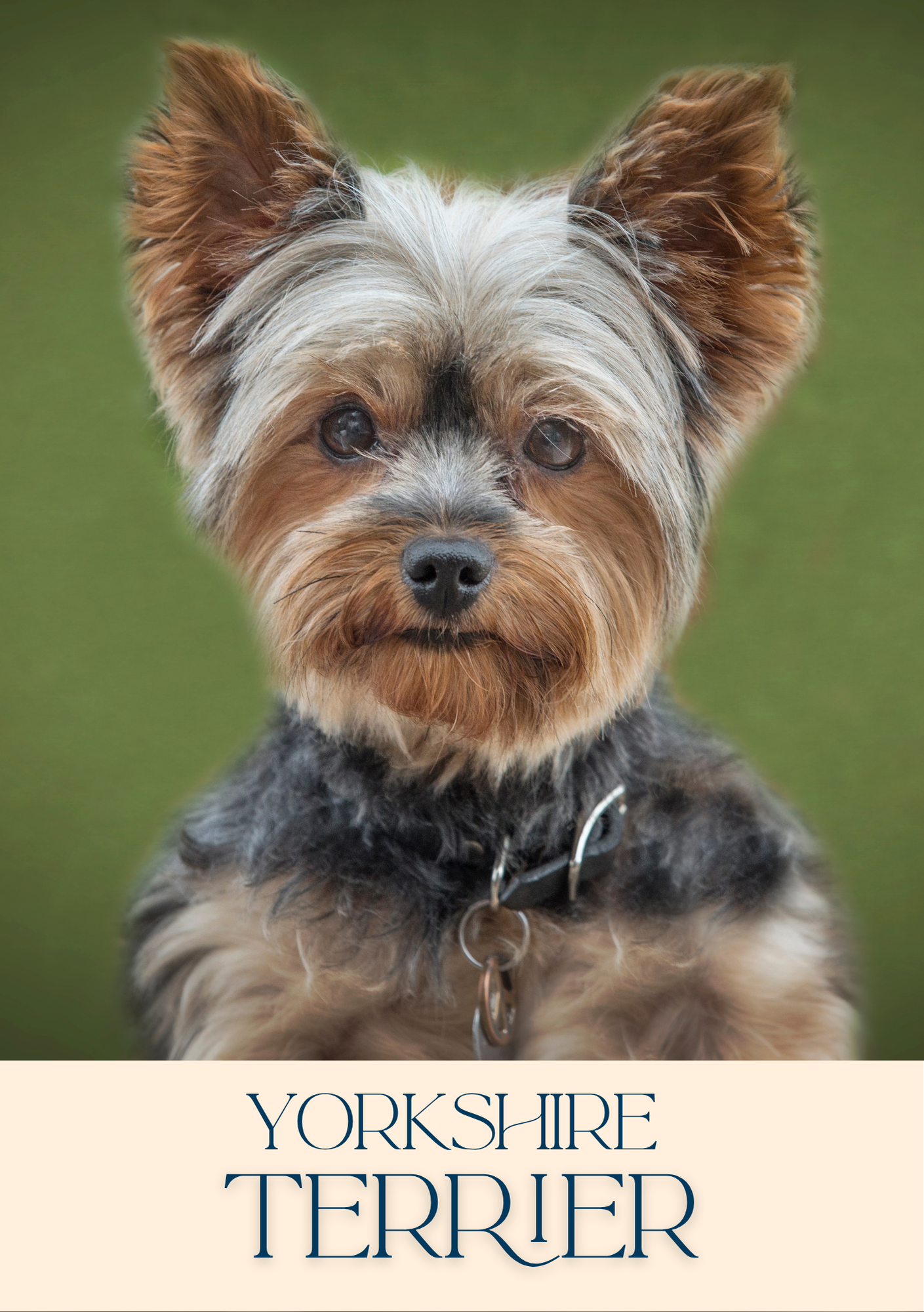 Notepad - For Pet Lovers - Dogs