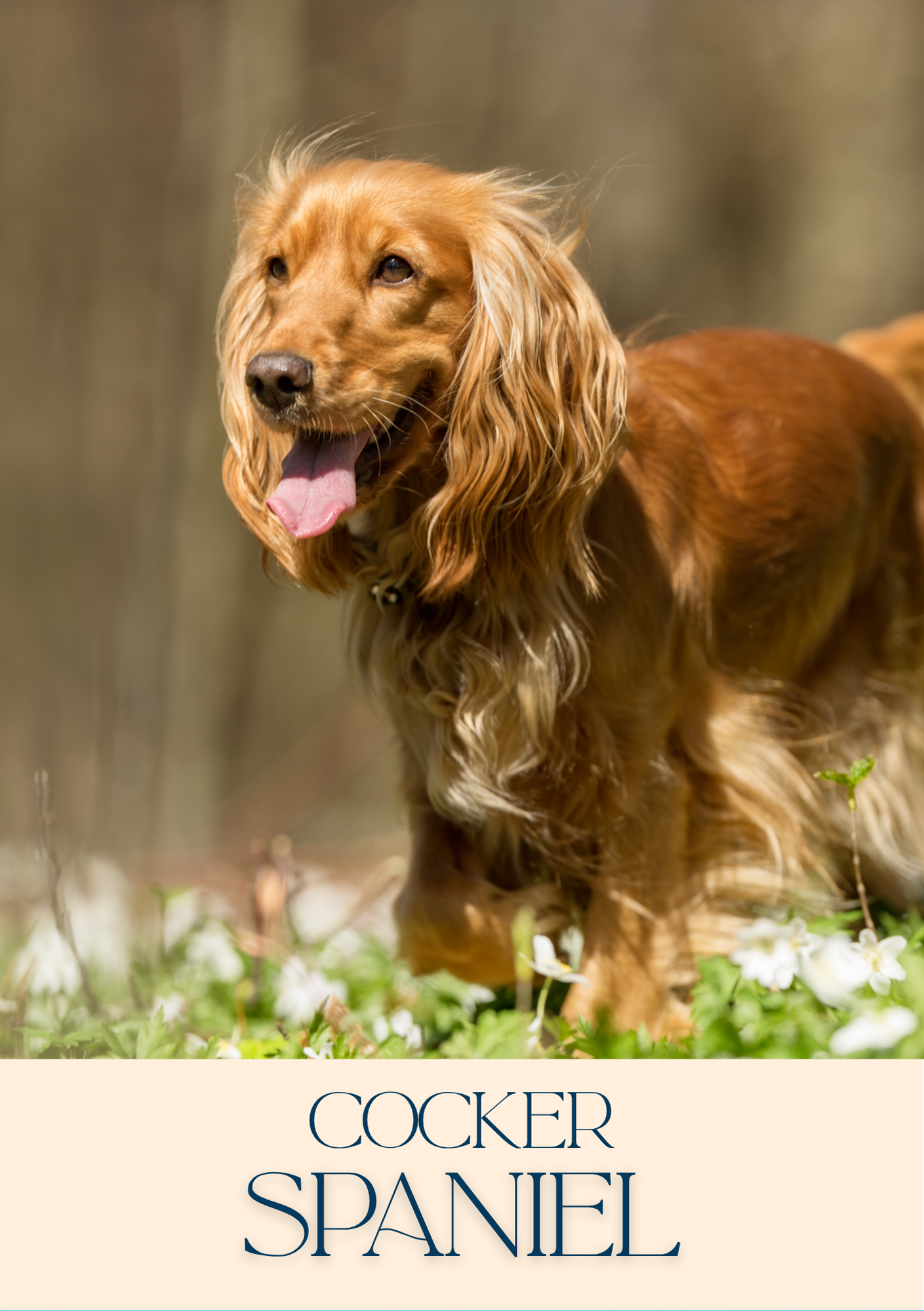 Notepad - For Pet Lovers - Dogs