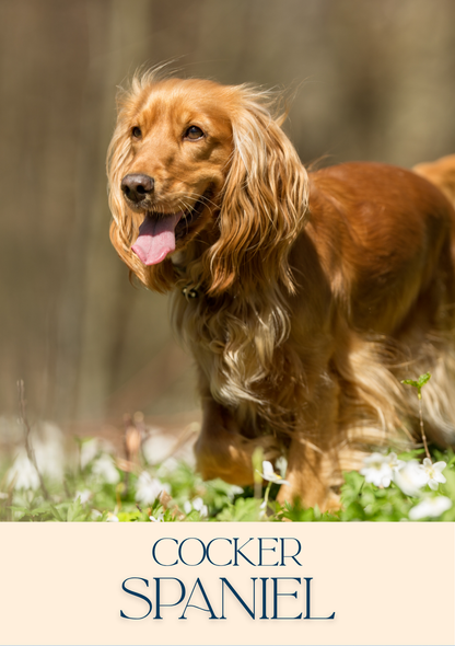 Notepad - For Pet Lovers - Dogs