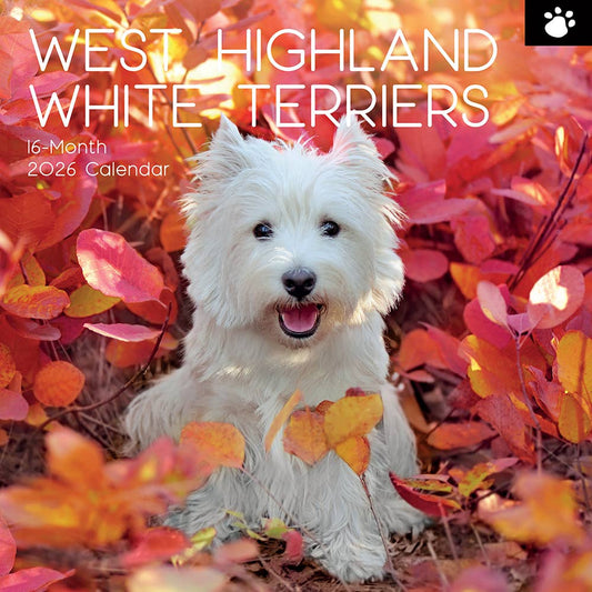 Calendário de parede quadrado 2026 - West Highland White Terriers
