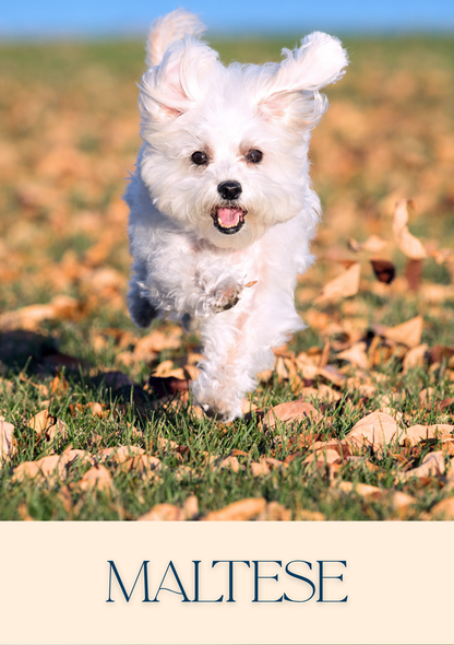 Notepad - For Pet Lovers - Dogs