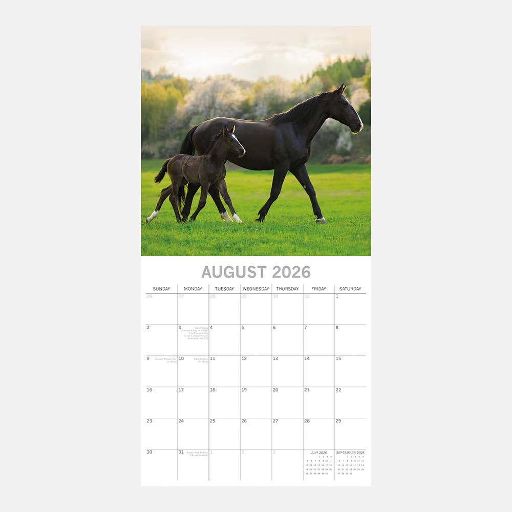 2026 Square Wall Calendar - Baby Animals