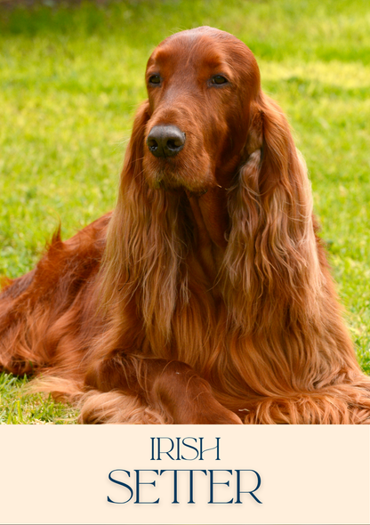 Notepad - For Pet Lovers - Dogs