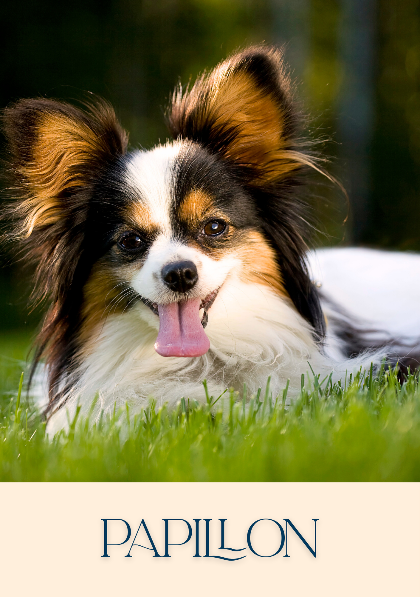 Notepad - For Pet Lovers - Dogs