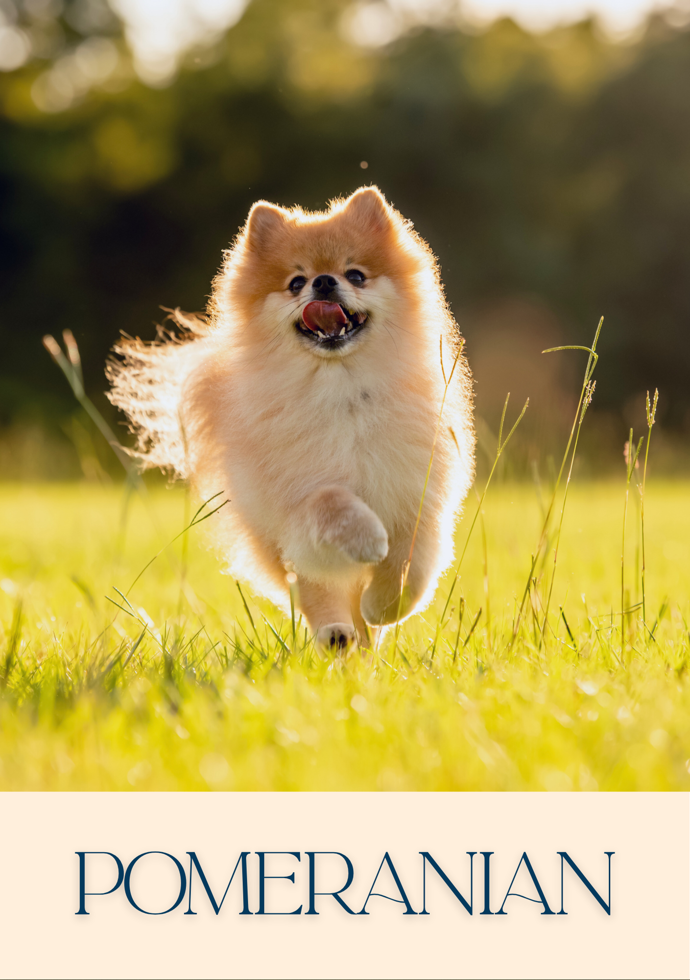 Notepad - For Pet Lovers - Dogs