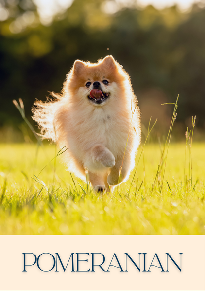 Notepad - For Pet Lovers - Dogs