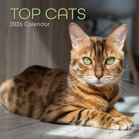 Calendário de parede quadrado 2026 - Gatos Top
