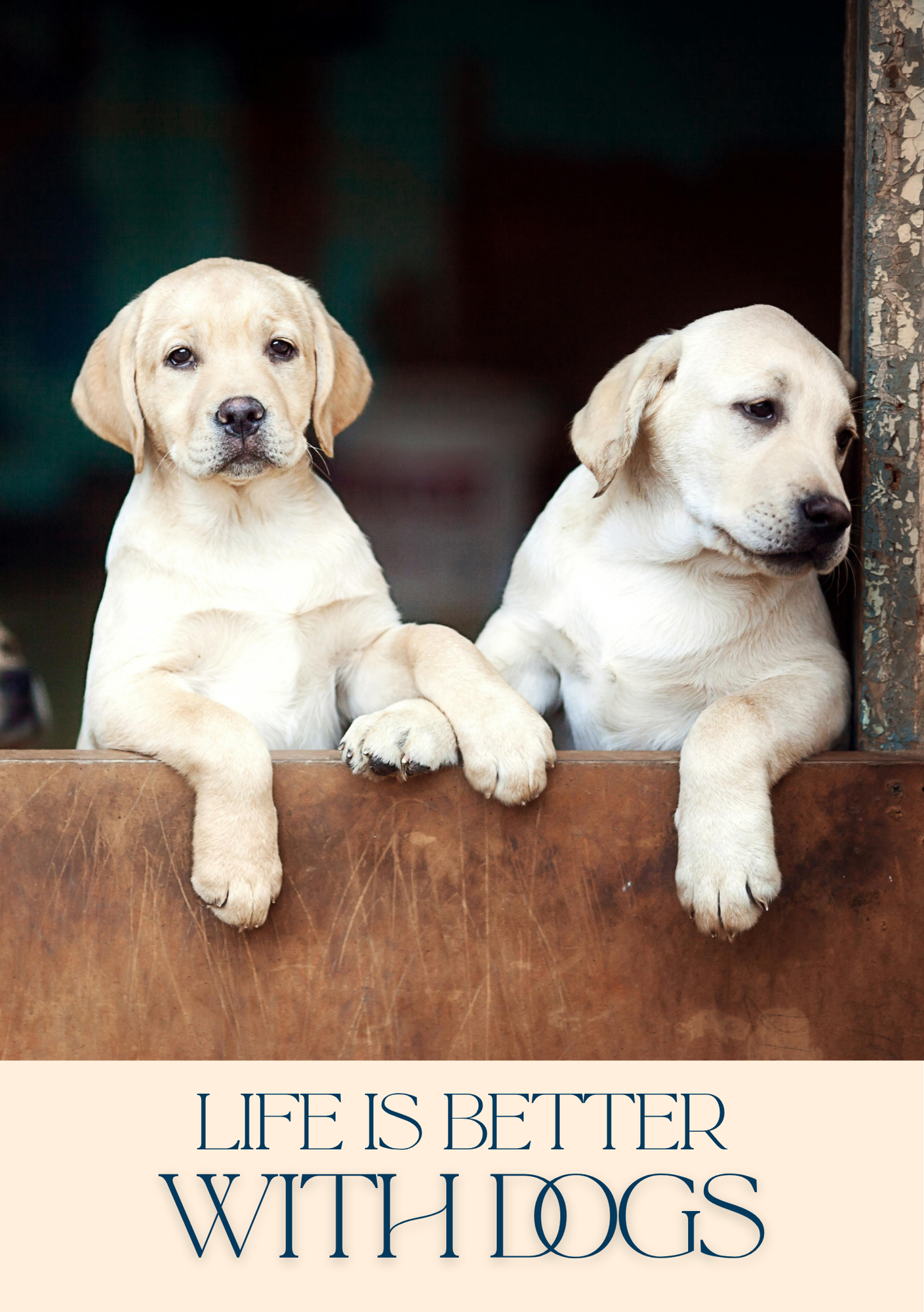 Notepad - For Pet Lovers - Dogs