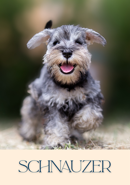 Notepad - For Pet Lovers - Dogs