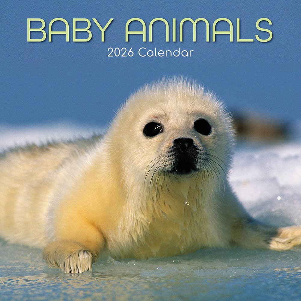 2026 Square Wall Calendar - Baby Animals