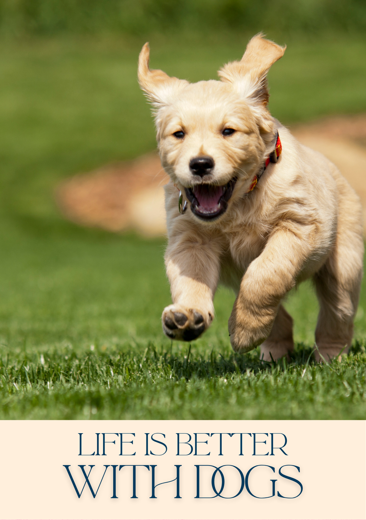 Notepad - For Pet Lovers - Dogs