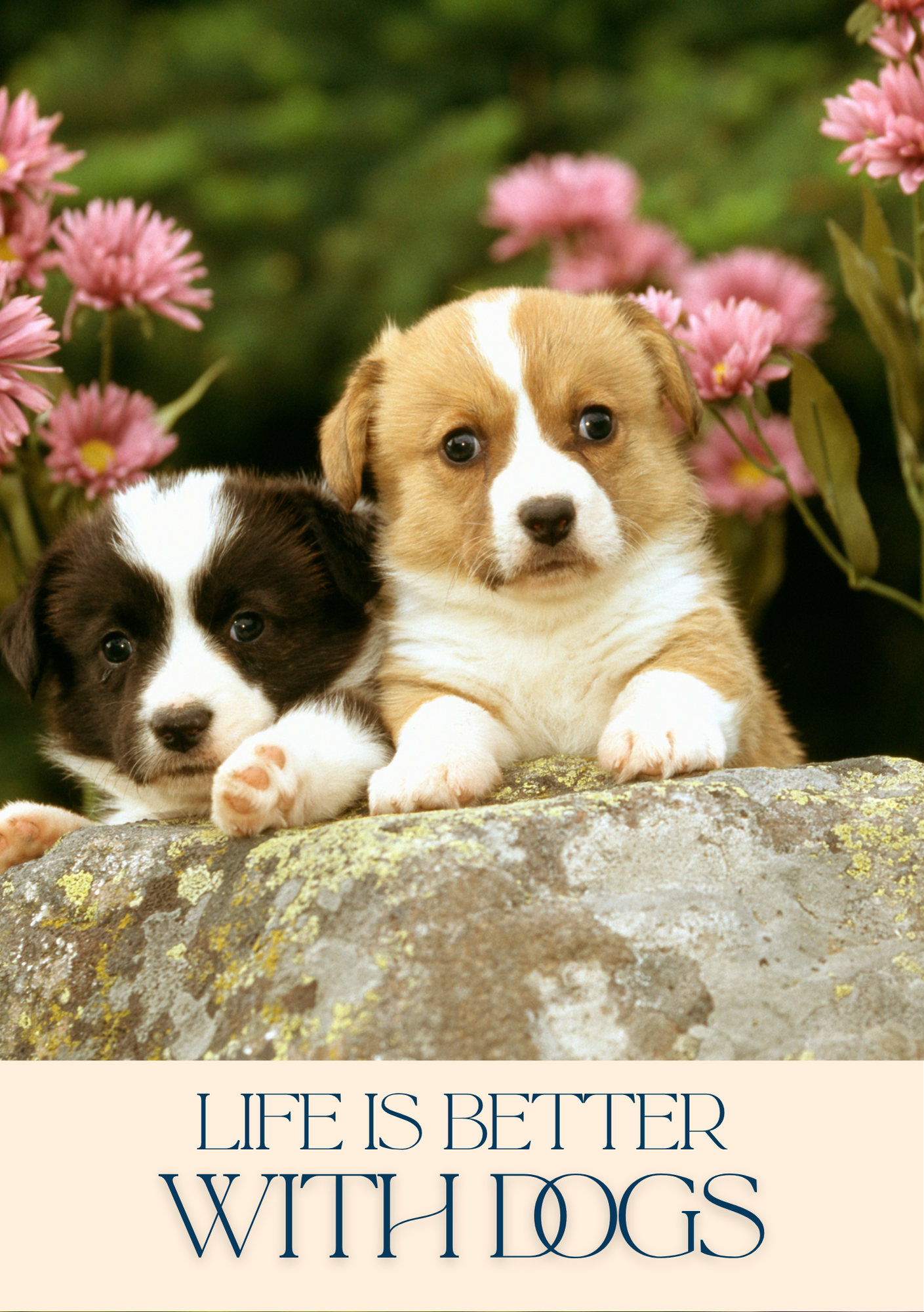 Notepad - For Pet Lovers - Dogs