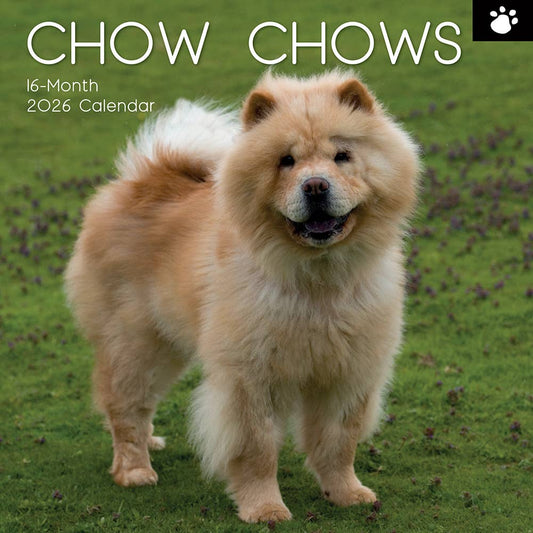 Calendário de parede quadrado 2026 - Chow Chow
