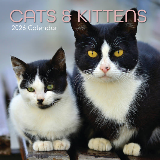Calendário de parede quadrado 2026 - Gatos e gatinhos