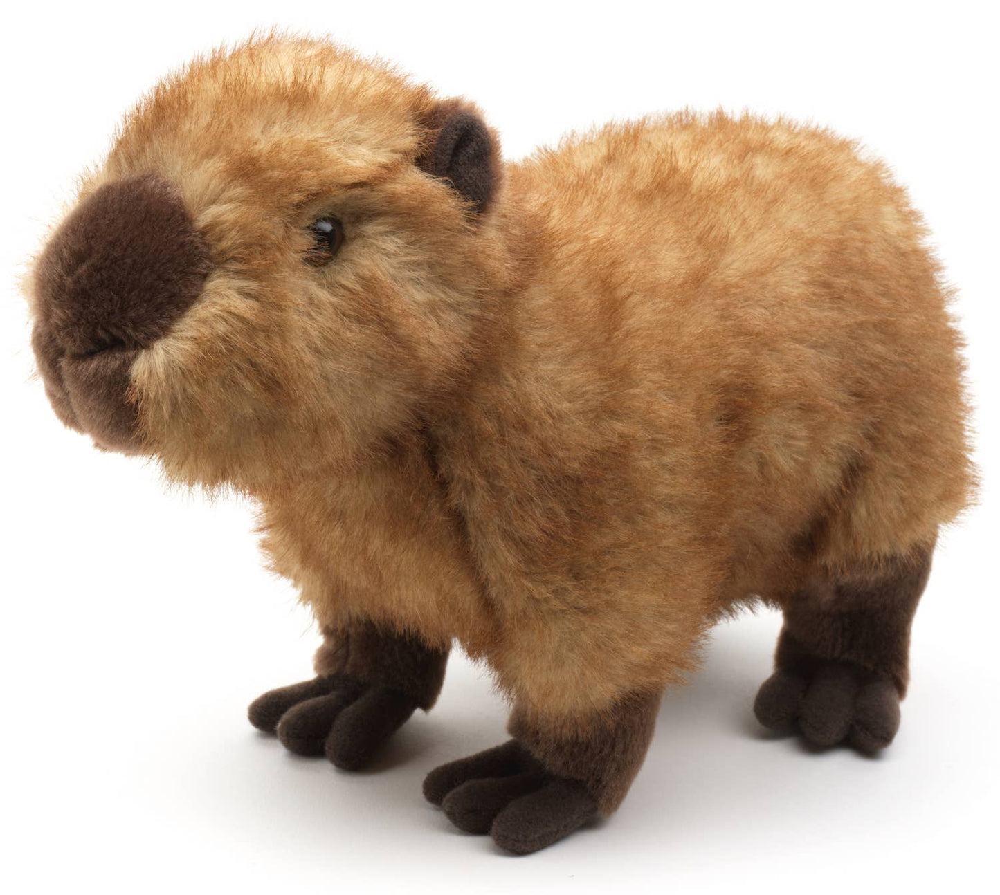 Capybara - 27 cm (length) - Cuddle/Plush toy