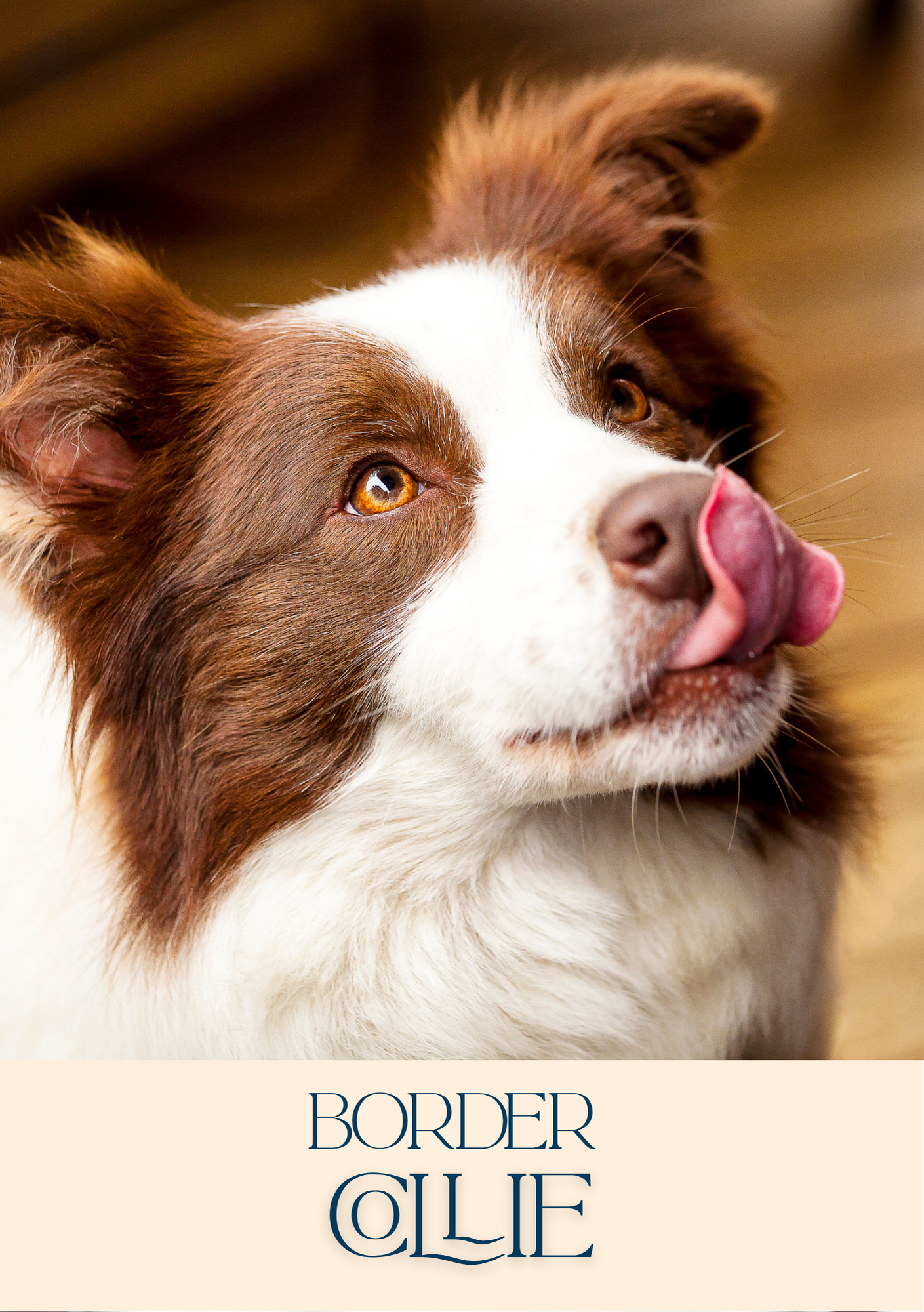 Notepad - For Pet Lovers - Dogs