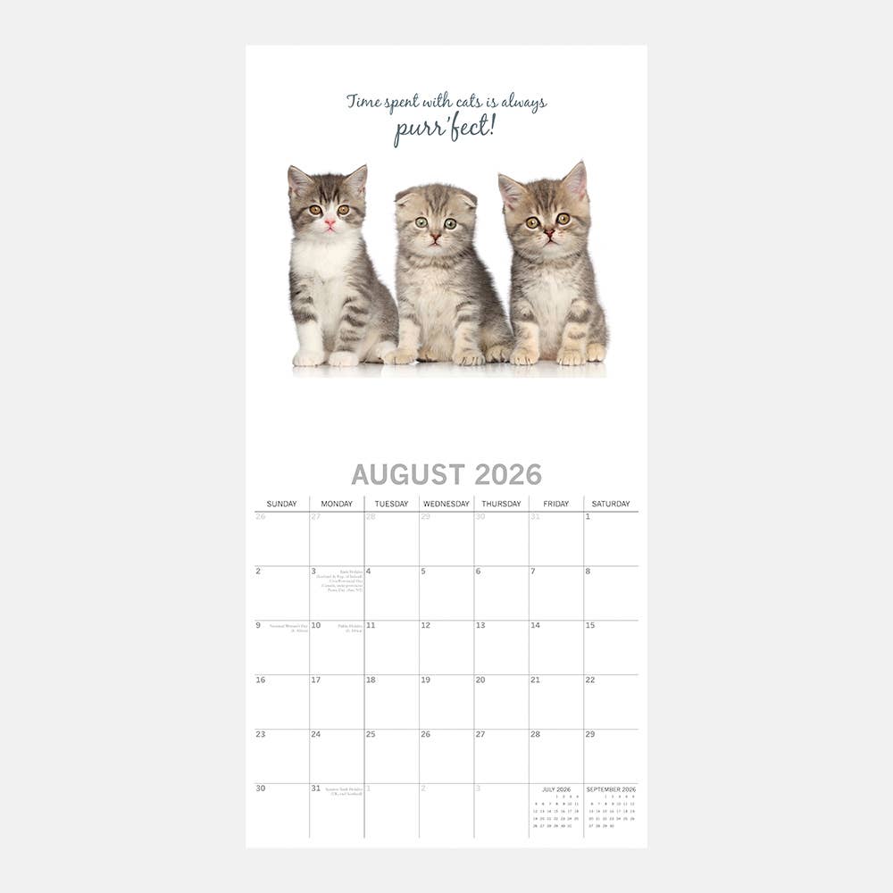 Calendário de parede quadrado 2026 - Gatinhos fofos