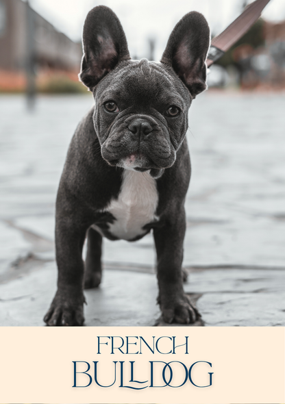 Notepad - For Pet Lovers - Dogs