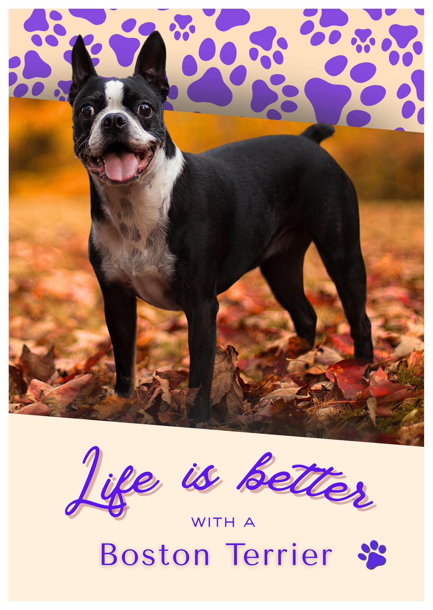 Caderno/Bloco de Notas (A5) - Cachorro - Boston Terrier - Faça um amante de cães sorrir!