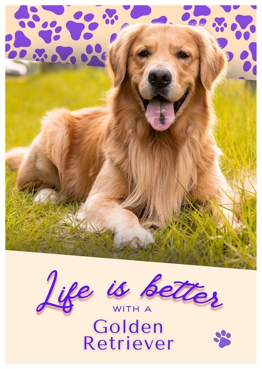 Notebook/Notepad (A5) - Dog - Golden Retriever - Make a dog person smile!