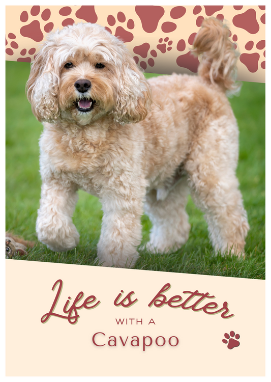 Notebook/Notepad (A5) - Dog - Cavapoo - Make a dog person smile!