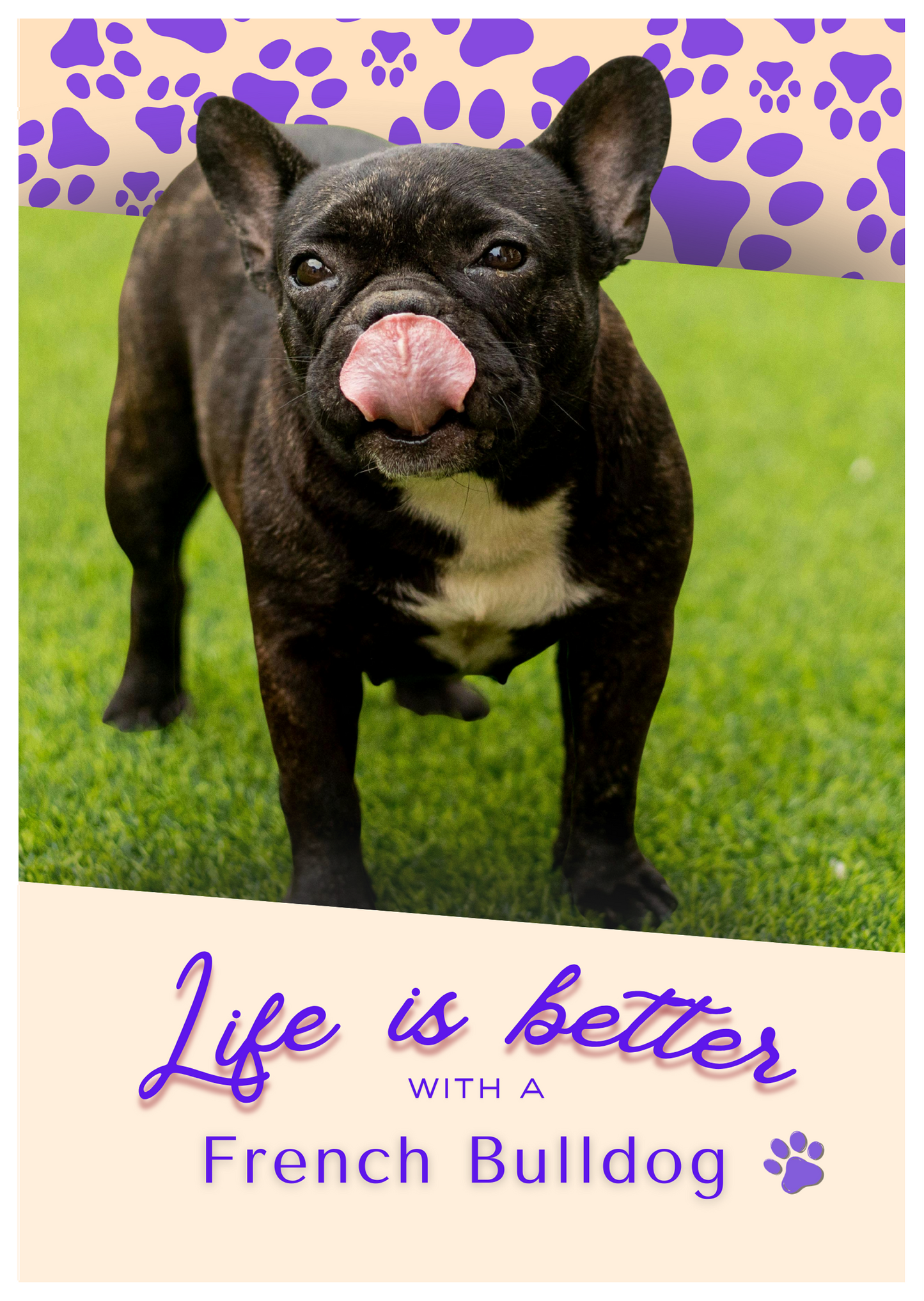 Notebook/Notepad (A5) - Dog - French Bulldog - Make a dog person smile!