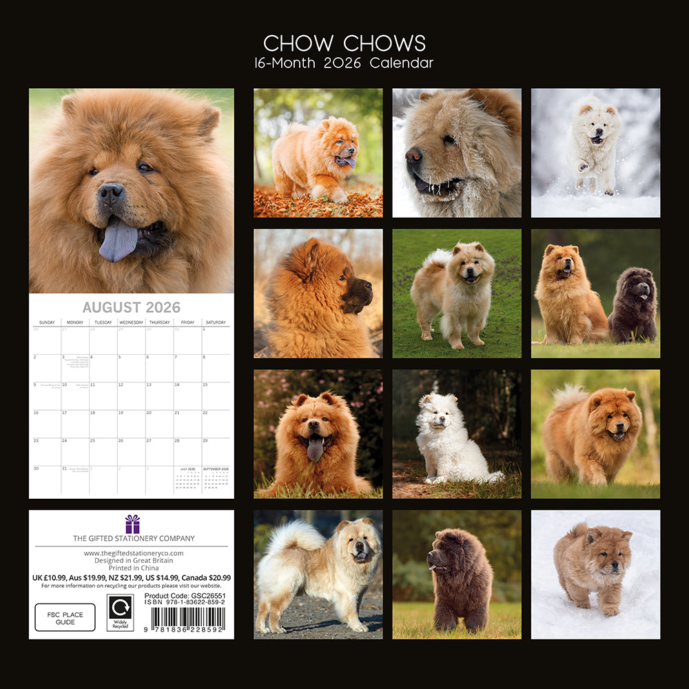 Calendário de parede quadrado 2026 - Chow Chow