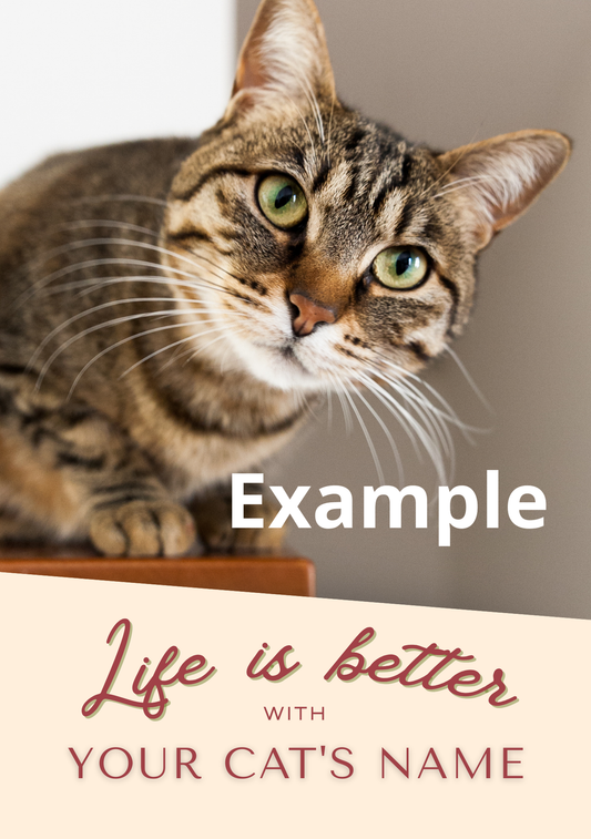 Bloco personalizado (A5) - Life is Better With - Cats