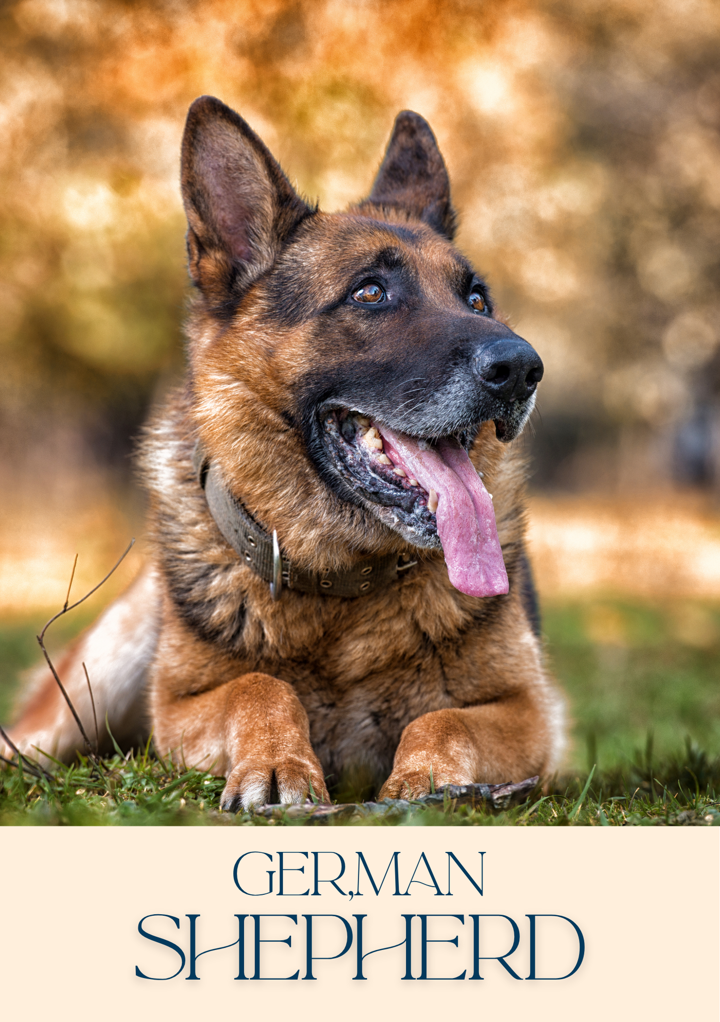 Notepad - For Pet Lovers - Dogs