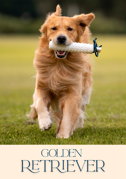 Notepad - For Pet Lovers - Dogs