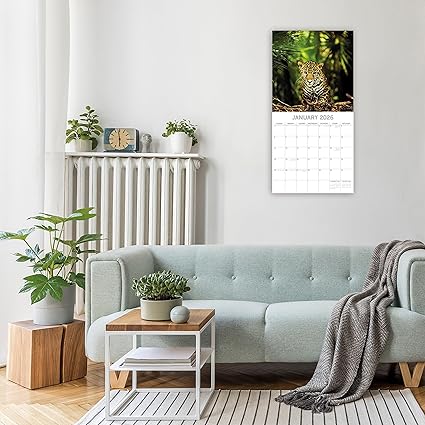 Calendário de parede quadrado 2026 - Selvas