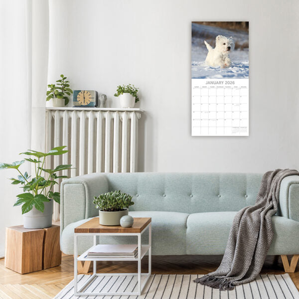 2026 Square Wall Calendar - West Highland White Terriers