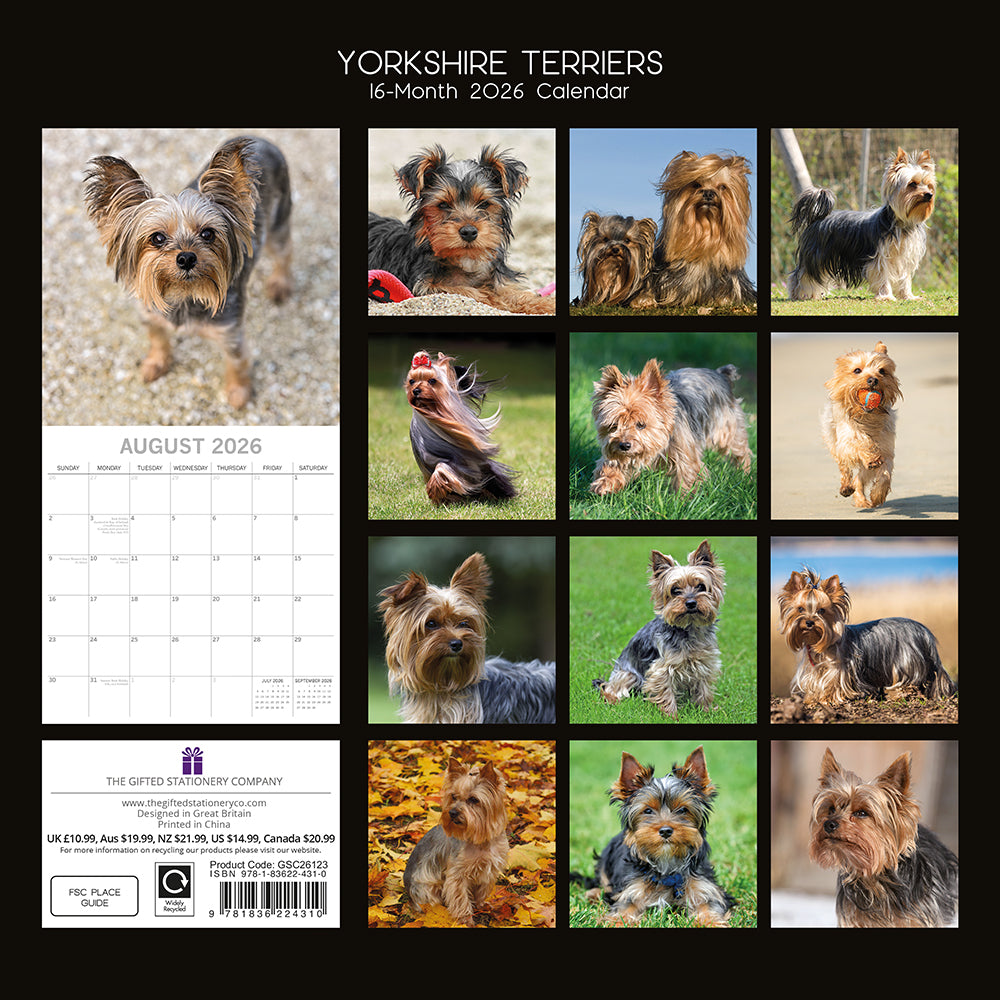 Calendário de parede quadrado 2026 - Yorkshire Terriers